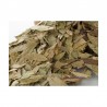 Feuilles de Sidr
